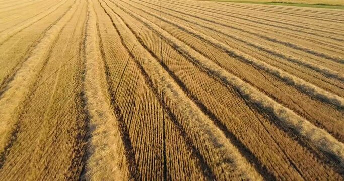 Scenic abstract agricultural fields. Aerial view.