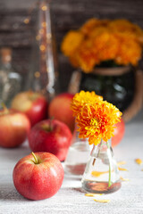 Ripe red apples and yellow chrysanthemum