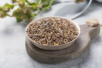 Burdock seeds isolated on white background. Beauty and personal care concept