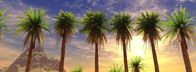 Fototapeta na wymiar Palm trees on the background of sunset, palms and sky