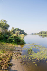 The Warta river, Poland