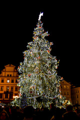 Christmas Tree at the Prague Christmas Market.