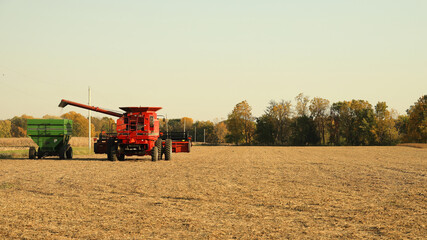 Fototapeta premium Red combine unloading soybeans into green grain wagon; copy space