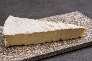 Cheese collection, French brie de Meaux cheese from Seine-et-Marne region with white mould
