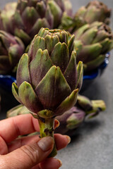Fresh french petit violet artichokes heads cultivted in Brittany, France