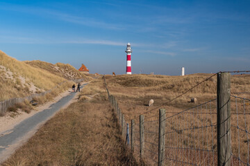 Fototapeta na wymiar Nieuwpoort's lighthouse and a path towards it with a couple in bicycle surrounded by fields with sheep.