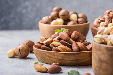 Brazil  or Amazon nuts,  Toquei or Tururi, very abundant in northern Brazil and Bolivia.