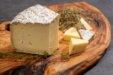 Cheese collection, French tomme cailladou cheese made with aromatic herbs of provence rosematy,...