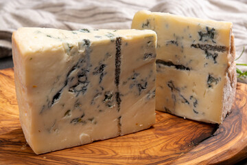 Cheese collection, Italian gorgonzola cheese made from unskimmed cow milk in Piedmont and Lombardy