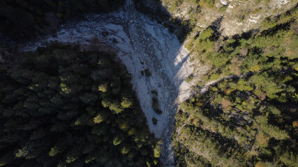 Drohnenaufnahme eines Waldes von oben in Tirol