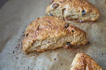 Traditional fresh baked English homemade scones with raisins for breakfast.  