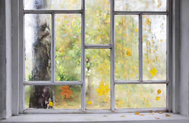 white old wooden window with rain drops and autumn leaves