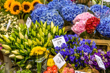 The famous flower market in Amsterdam, the Netherlands