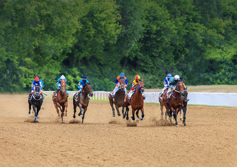 jockey horse racing horses jump to the finish line on sandy ground - obrazy, fototapety, plakaty