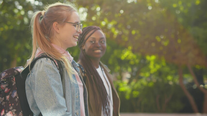 Pretty african and caucasian female students walking together in park