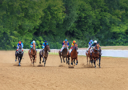 jockey horse racing horses jump to the finish line on sandy ground