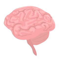 Vector illustration of human brain.