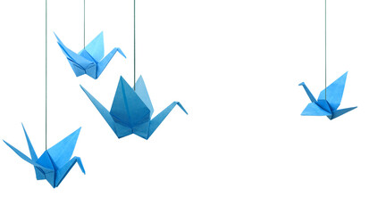 Blue origami paper cranes haning isolated white