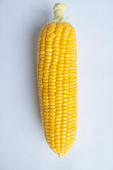 Yellow Corn, isolated closeup view, white background.