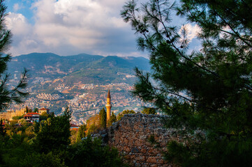 Fototapety na wymiar - Fototapeta24.pl