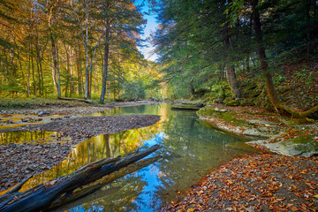 View of War Creek next to Turkey Foot Campground in the Daniel Boone National Forest near McKee, KY.