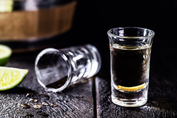 several glasses with mezcal (or mescal) is commonly known as tequila with larvae or worm, an exotic Mexican drink, originally from the state of Oaxaca