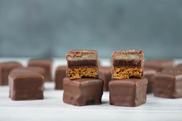 Domino stones, a german traditional christmas sweet with gingerbread, marzipan and jelly covered with brown chocolate, Dominosteine