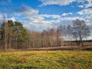 Obraz premium Autumn landscape meadow with yellowed grass against the background of forest foliage, mountains and a beautiful sunset sky.