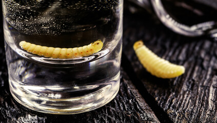 seseveral glasses with mezcal (or mescal) is commonly known as 