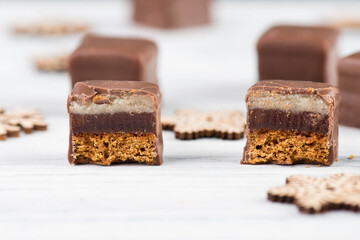 Domino stones, a german traditional christmas sweet with gingerbread, marzipan and jelly covered with brown chocolate, Dominosteine