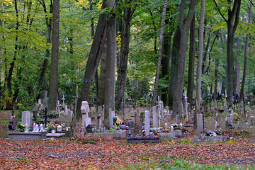 Central Cemetery in Szczecin (Poland). One of the largest necropolises in Europe