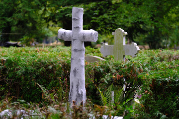 Central Cemetery in Szczecin (Poland). One of the largest necropolises in Europe