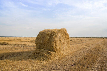 in the middle of the field stands a haystack