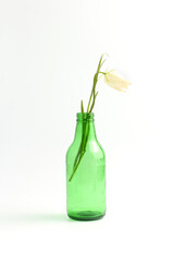 minimalistic composition. flower in green glass vase on white background