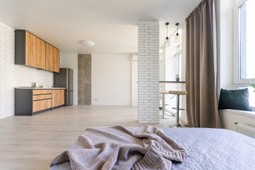 Kitchen and living room of loft apartment