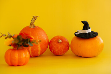 Four pumpkins on a yellow background. One pumpkin wearing a witch hat