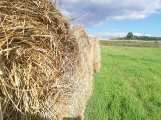 Nature abstract texures.Bales of hay.  Round bundles of dry grass