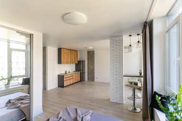 Kitchen and living room of loft apartment