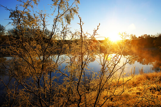 Frost On Mesquite Tree Over Texas Winter Landscape With Pond In Background.