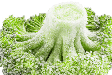 frozen broccoli, close-up, macro