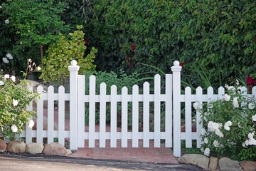 White picket fence with a gate and white roses on the left and right