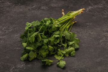 Green coriander or cilanto leaves heap