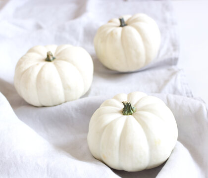 Autumn composition of little white pumpkins isolated on white table background. Fall, Halloween and Thanksgiving concept. Autumn design.