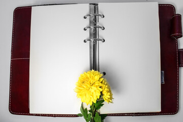 on an open notebook with blank sheets and a red cover, there is a branch of chrysanthemum