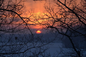Sunrise through the trees