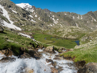 Top view of beautiful wetland with wild stream cascade, alpine mountain meadow called Paradies with lush green grass and snow capped mountain peaks. Stubai hiking trail, Summer Tyrol Alps, Austria