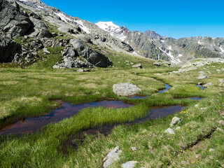 Beautiful wetland from spring, melting ice and snow, alpine mountain meadow called Paradies with lush green grass and flowers. Stubai hiking trail, Summer Tyrol Alps, Austria