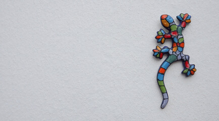 Salamander in Wall
