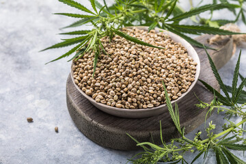 Cannabis seed or hemp  and cannabis leaves at white table.
