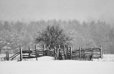 rural scene with heavy snowfall